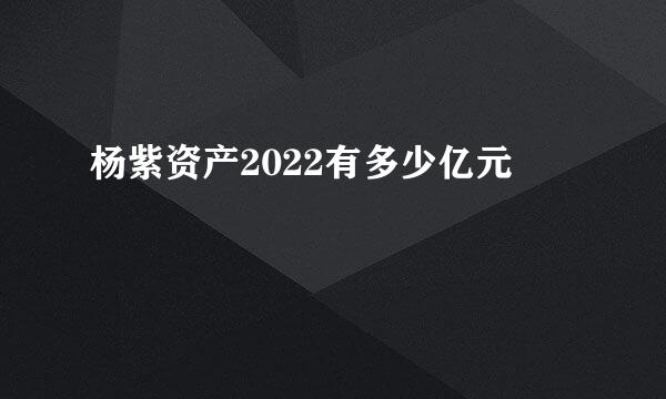 杨紫资产2022有多少亿元